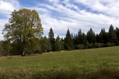 Dağlarda güzel sonbahar doğa