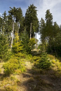 Dağlarda güzel sonbahar doğa