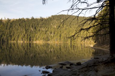 Dağlarda güzel sonbahar doğa