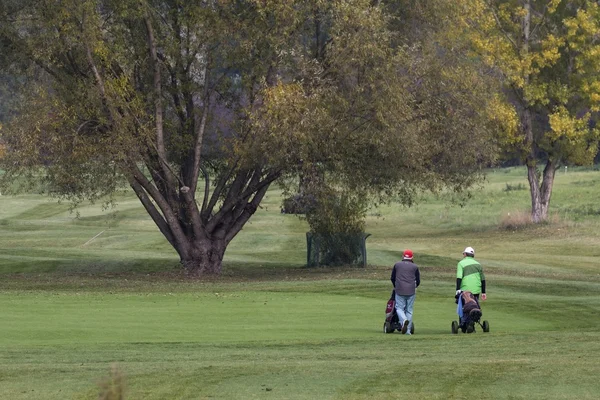 La gente se mueve alrededor del campo de golf —  Fotos de Stock