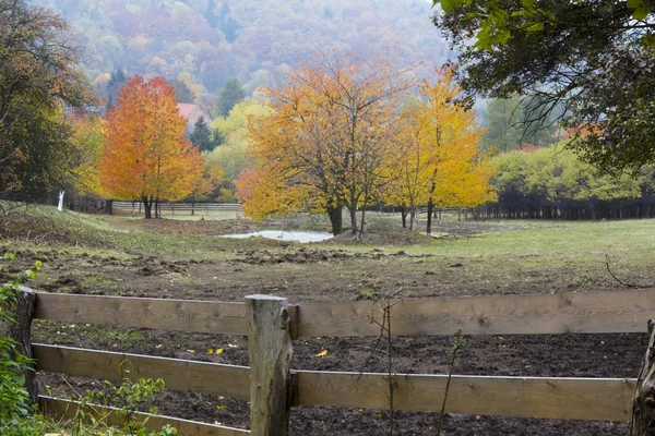 Hermosos colores del paisaje otoñal — Foto de Stock