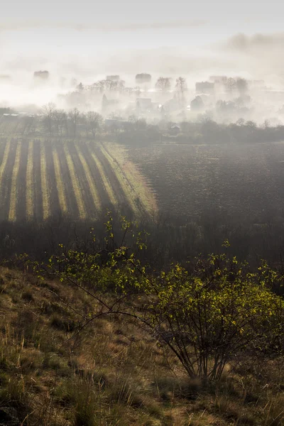 En otoño en la niebla — Foto de Stock