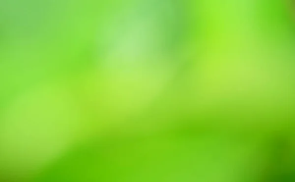 Blur Atau Bokeh Green Background Lush Light Shiny Spring Tekstur — Stok Foto