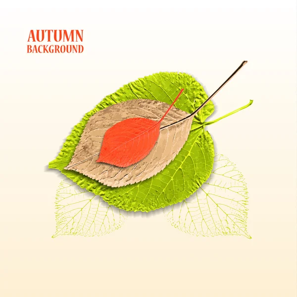 Autumn background with leaves. Linden and cherry.  Vector illustration. Eps 10 — Stock Vector