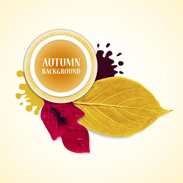 Autumn background with leafs and stains. Redviolet  and yellow. Vector illustration. — Stock Vector