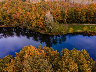 Hollanda yakınlarındaki bir gölün durgun sularına yansıyan sonbahar rengi