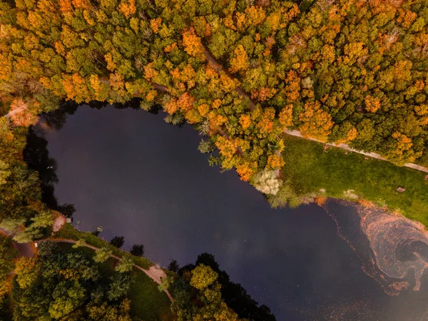 Color de otoño reflejado en las tranquilas aguas de un lago cerca de Urk Países Bajos — Foto de Stock