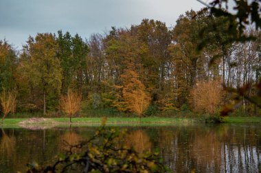 Hollanda yakınlarındaki bir gölün durgun sularına yansıyan sonbahar rengi