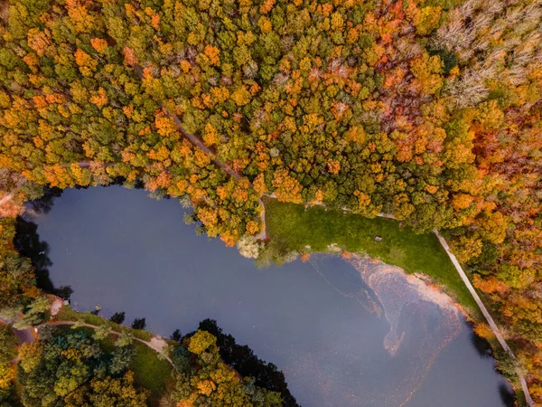 Color de otoño reflejado en las tranquilas aguas de un lago cerca de Urk Países Bajos — Foto de Stock