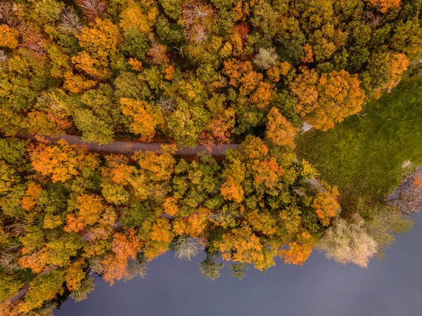 Fall colour reflected in the still waters of a lake near Urk Netherlands — Stock Photo, Image