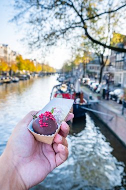 Amsterdam Hollanda, Sonbahar mevsimi boyunca Amsterdam kanalları