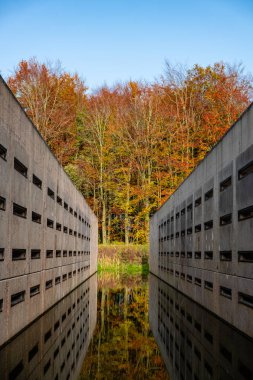Waterloopbos Vollenhove Flevoland Hollanda 'daki beton bloklar, suyun belli yapılara tepkisini test etmek için kullanılır. Ormanda sonbahar