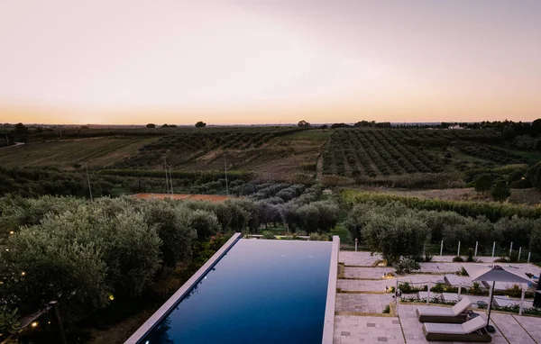 Selinunte Sicilya 'da şarap tarlası manzaralı lüks bir tatil köyü. İtalya, şarap tarlaları manzaralı sonsuz bir havuz.