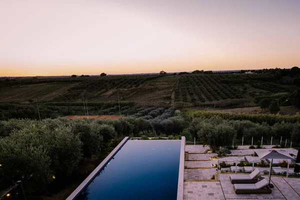 Розкішний курорт з видом на винне поле в Селінунті Сицилія Італія, безкінечний басейн з видом на винні поля. — стокове фото