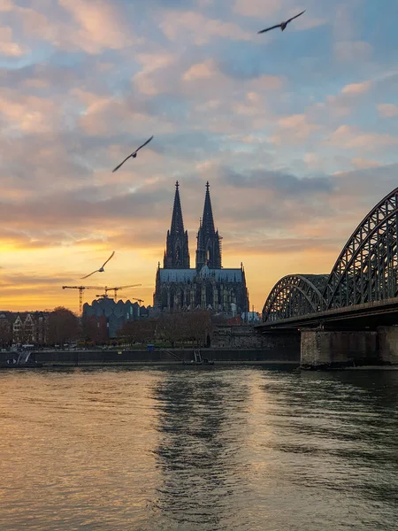 Köln am Rhein bei Sonnenuntergang mit dem riesigen Dom — Stockfoto