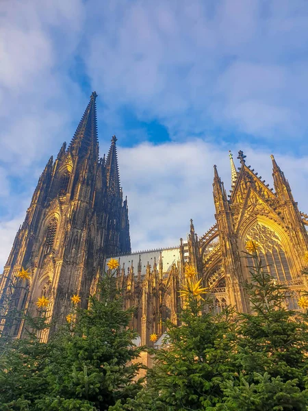 Köln am Rhein bei Sonnenuntergang mit dem riesigen Dom — Stockfoto