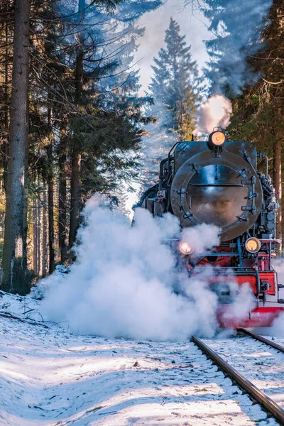 Parc national du Harz Allemagne, train à vapeur sur le chemin de Brocken à travers le paysage hivernal, célèbre train à vapeur à travers la montagne d'hiver. Brocken, Parc national du Harz Montagnes en Allemagne — Photo