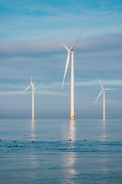 Elektrik üretimi için yel değirmenleri Hollanda Flevoland, denizdeki rüzgar türbinleri, yeşil enerji üreten yel değirmeni çiftliği