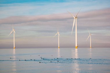 Elektrik üretimi için yel değirmenleri Hollanda Flevoland, denizdeki rüzgar türbinleri, yeşil enerji üreten yel değirmeni çiftliği