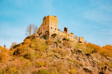 Almanya 'da seyahat - Rhein Nehri' nde nehir turları, güzel bir ortaçağ kasabası ve şarap tarlaları