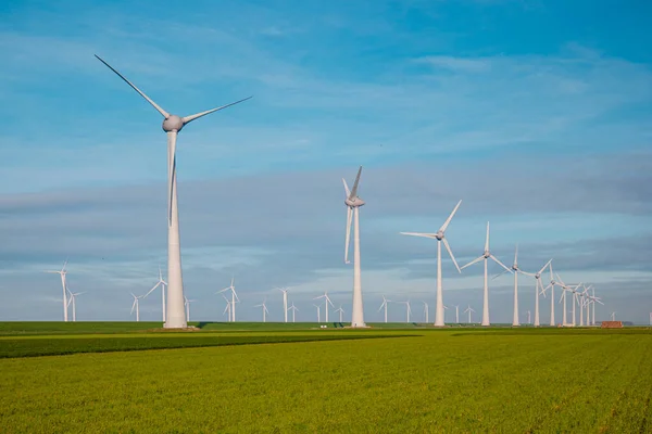 Moulins à vent pour la production d'électricité Pays-Bas Flevoland, Parc d'éoliennes en mer, Parc d'éoliennes produisant de l'énergie verte — Photo