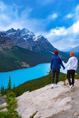 Turkuaz Gölü Peyto, Banff Ulusal Parkı, Kanada. Dağ Gölü tilki başı turistler arasında popülerdir. 