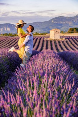 Provence, gün batımında lavanta tarlası, Valensole Platosu Provence Fransa lavanta tarlaları
