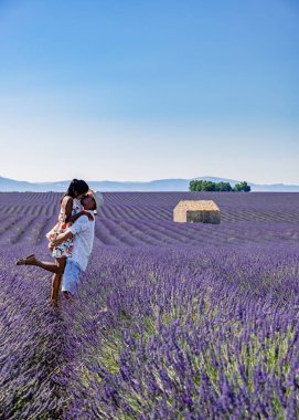 Provence, gün batımında lavanta tarlası, Valensole Platosu Provence Fransa lavanta tarlaları