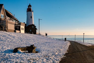 Hollanda 'nın Urk Hollanda' sında kış boyunca karla kaplı hendek