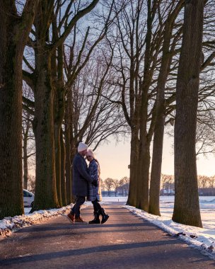 Hollanda, Holten yakınlarındaki Holterberg 'in manzaraları, Sallandse Heuvelrug tepeleri karla kaplıydı.