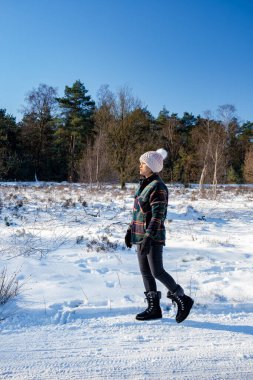 Hollanda, Holten yakınlarındaki Holterberg 'in manzaraları, Sallandse Heuvelrug tepeleri karla kaplıydı.