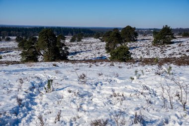 Holten, Hollanda yakınlarındaki Holterberg 'in manzaraları Sallandse Heuvelrug' ın tepelerini kaplıyordu.