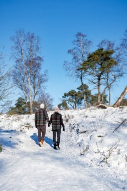 Hollanda, Holten yakınlarındaki Holterberg 'in manzaraları, Sallandse Heuvelrug tepeleri karla kaplıydı.