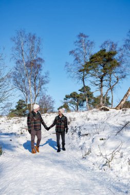 Hollanda, Holten yakınlarındaki Holterberg 'in manzaraları, Sallandse Heuvelrug tepeleri karla kaplıydı.
