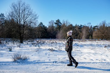 Hollanda, Holten yakınlarındaki Holterberg 'in manzaraları, Sallandse Heuvelrug tepeleri karla kaplıydı.