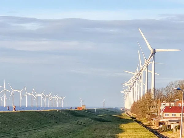 Windmill village indrustial wind mill by the lake Ijsselmeer Nehterlands