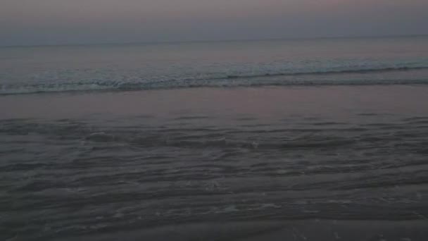Ανατολή στην παραλία με φοίνικες, Chumphon Ταϊλάνδη, ζευγάρι βλέποντας ηλιοβασίλεμα στην παραλία στην Ταϊλάνδη — Αρχείο Βίντεο