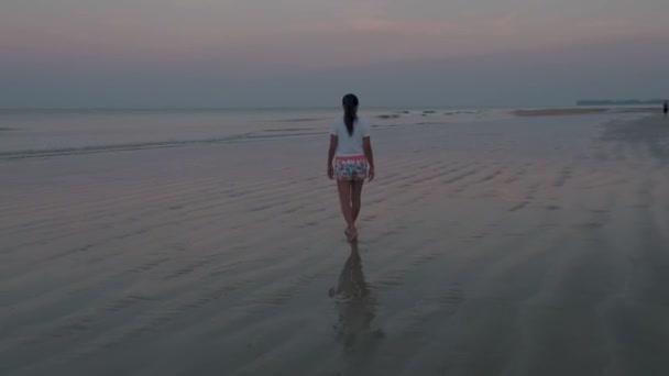 Sonnenaufgang am Strand mit Palmen, Chumphon Thailand, Paar beobachtet Sonnenuntergang am Strand in Thailand — Stockvideo