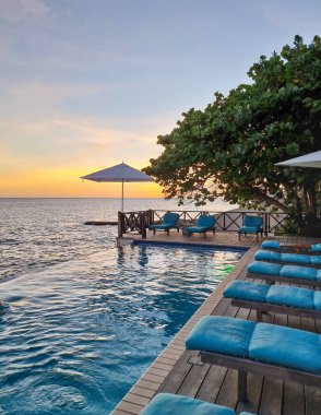 Rahatlatıcı yaz plajı, güneşlenme güvertesi ve sahilde palmiye ağaçları ve Curacao lüks evindeki panoramik deniz manzaralı özel yüzme havuzu.