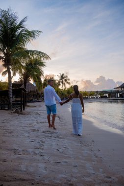 Korsan plajlı, palmiye ağaçlı, lüks tatil yeri Curacao.