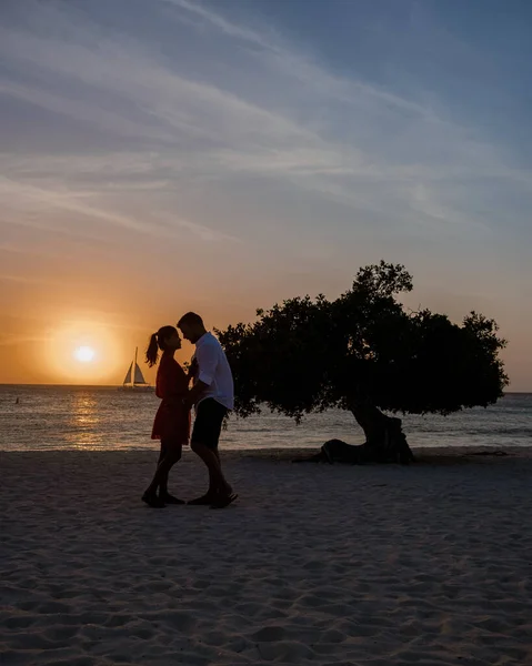 디 비 나무들 이 아루바 의 이 글 해변의해 안선에 있다 — 스톡 사진
