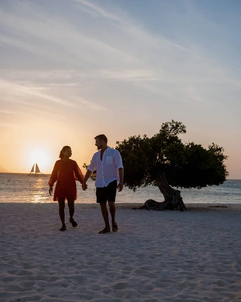 Divi potápěčské stromy na pobřeží Eagle Beach v Arubě — Stock fotografie