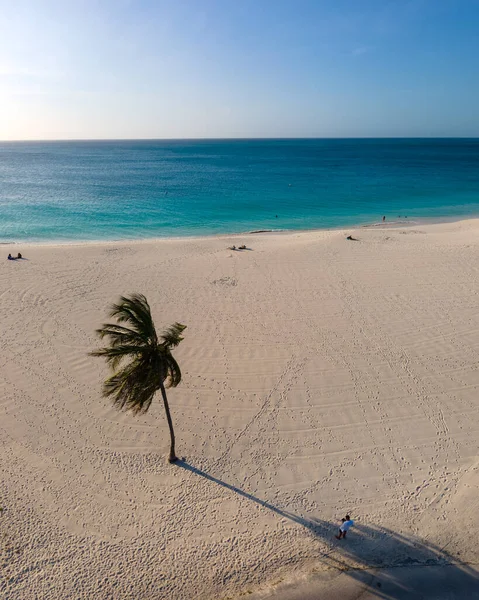 Palmer vid stranden av Eagle Beach i Aruba — Stockfoto