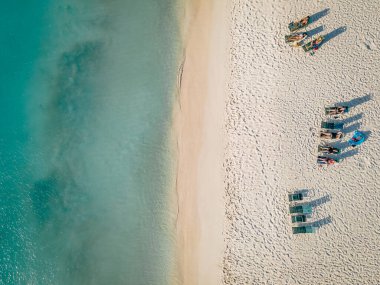Aruba 'da Kartal Sahili kıyısında palmiye ağaçları