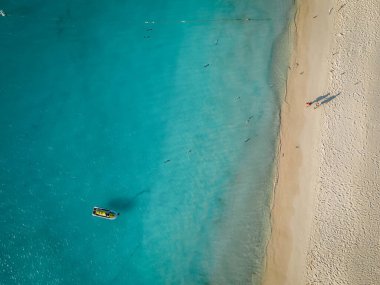 Aruba 'da Kartal Sahili kıyısında palmiye ağaçları