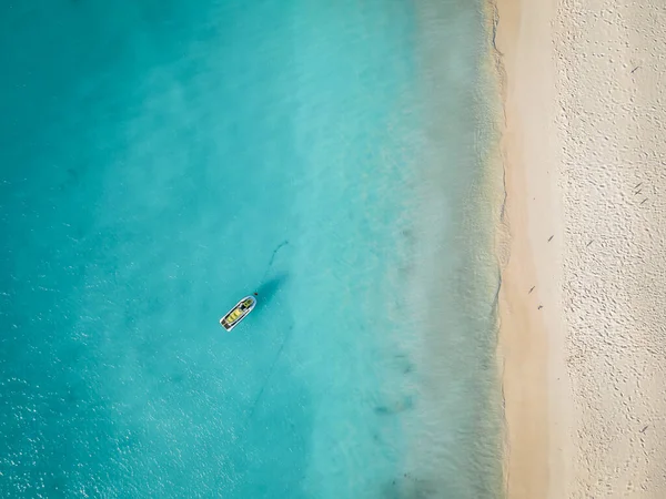 Aruba 'da Kartal Sahili kıyısında palmiye ağaçları — Stok fotoğraf