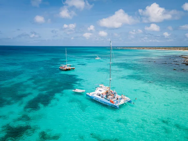 Palmiers sur le rivage d'Eagle Beach à Aruba — Photo