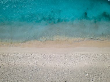 Aruba 'da Kartal Sahili kıyısında palmiye ağaçları