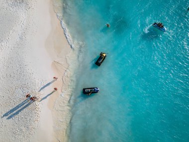Aruba 'da Kartal Sahili kıyısında palmiye ağaçları