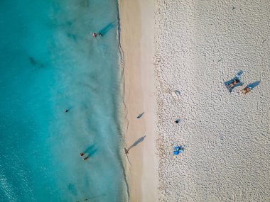 Aruba 'da Kartal Sahili kıyısında palmiye ağaçları